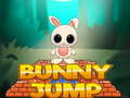 თამაშის Bunny Jump