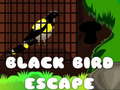 თამაშის Black Bird Escape