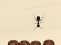 თამაშის Smash All Ants