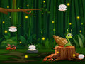 თამაშის Snail Run