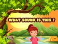 თამაშის What Sound Is This?