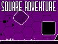 თამაშის Square Adventure