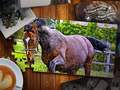 თამაშის Jigsaw Puzzle Horses Edition