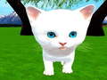 თამაშის Cutie cat