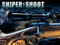 თამაშის Sniper Shooting