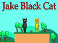 თამაშის Jake Black Cat