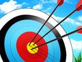 თამაშის Stickman Archery