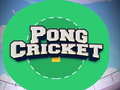 თამაშის Pong Cricket