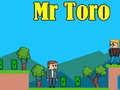 თამაშის Mr Toro