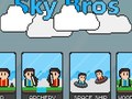 თამაშის Sky Bros