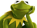 თამაშის Coloring Book For Kermit the Frog 