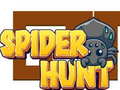 თამაშის Spider Hunt