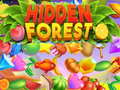 თამაშის Hidden Forest