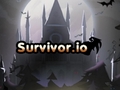 თამაშის Survivor.io