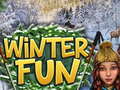 თამაშის Winter Fun