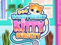 თამაშის Doc HoneyBerry Kitty Surgery