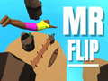 თამაშის Mr Flip
