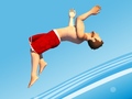 თამაშის Flip Divers