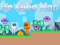 თამაშის Ice Cube Man