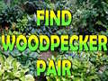 თამაშის Find Woodpecker Pair 