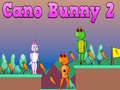 თამაშის Cano Bunny 2