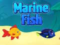 თამაშის Marine Fish