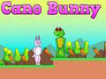 თამაშის Cano Bunny