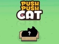თამაშის Push Push Cat