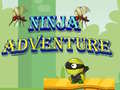თამაშის Ninja Adventure