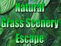 თამაშის Natural Grass Scenery Escape