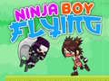 თამაშის Ninja Boy Flying