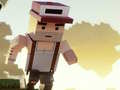 თამაშის Parkour Craft 3D