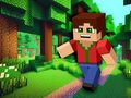 თამაშის Minicraft
