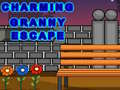 თამაშის Charming Granny Escape