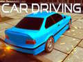თამაშის Car Driving