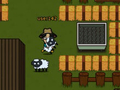 თამაშის Sheep13