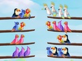 თამაშის Bird Sort Puzzle