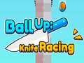 თამაშის Ball Up: Knife Racing 