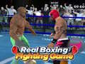 თამაშის Real Boxing Fighting Game