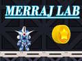 თამაშის Merraj Lab