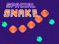 თამაშის Spacial Snake