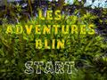 თამაშის Les Adventures Blin