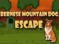 თამაშის Bernese Mountain Dog Escape