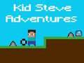 თამაშის Kid Steve Adventures