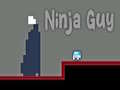 თამაშის Ninja Guy