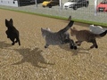 თამაშის Run Cat Cat Race