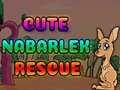 თამაშის Cute Nabarlek Rescue