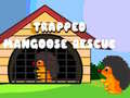 თამაშის Trapped Mangoose Rescue