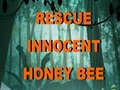 თამაშის Rescue Innocent Honey Bee 