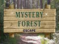 თამაშის Mystery Forest